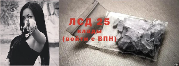 spice Няндома