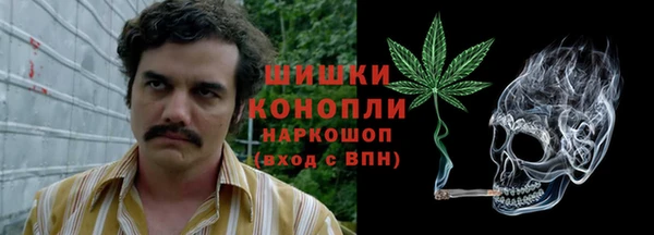 эйфоретик Новозыбков