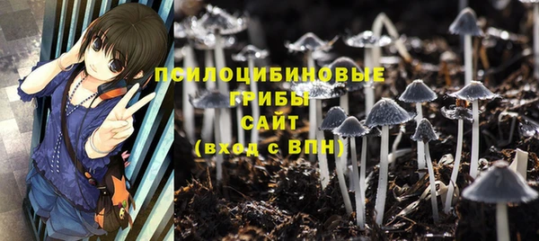 молекула духа Железноводск