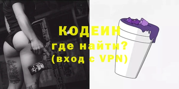 spice Няндома