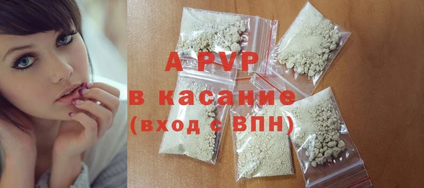 прущие грибы Нягань