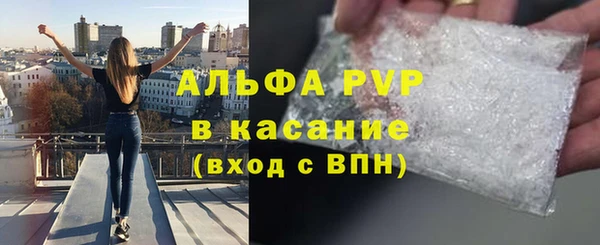 прущие грибы Нягань