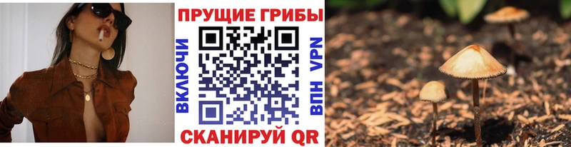Галлюциногенные грибы Cubensis  Смоленск 